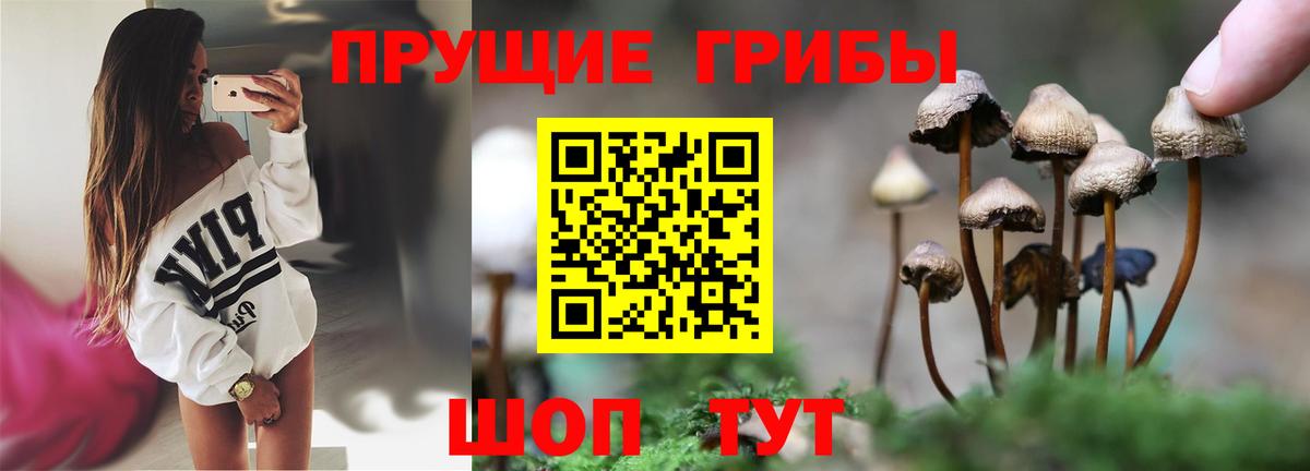 Миасс  Галлюциногенные грибы Psilocybine cubensis  Псилоцибиновые грибы Magic Shrooms  Вход с VPN 